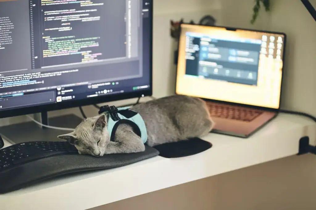 Cat sleeping on a desk next to computer monitors and a laptop