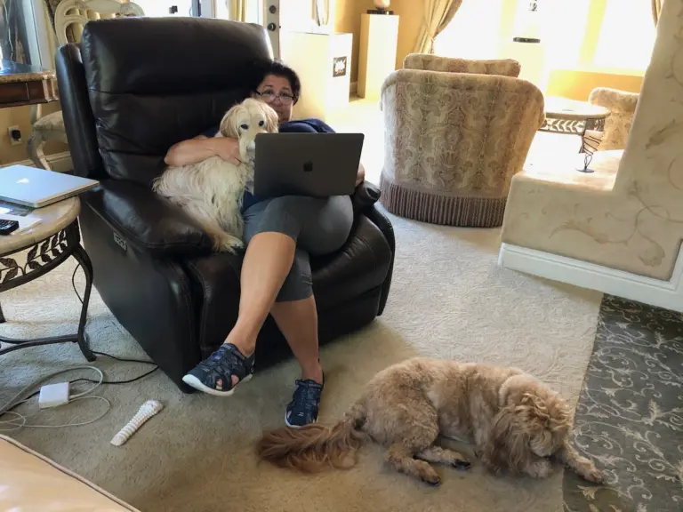 House Sitting 101: How House Sitting Actually Works (Without the Instagram Lies)